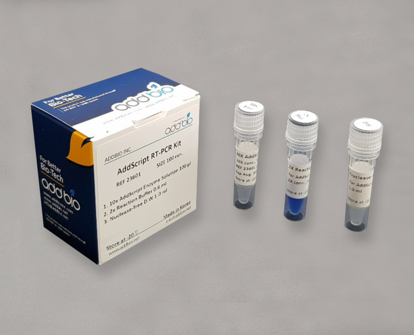 AddScript RT-PCR Kit