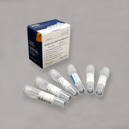 AddScript cDNA Synthesis Kit - شرکت درمان نگار آیندگان
