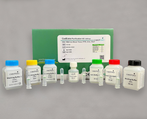 کیت استخراج RNA و DNA برند cedbio - شرکت درمان نگار آیندگان