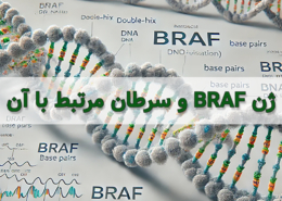 ژن BRAF و جهش و ارتباط آن با سرطان