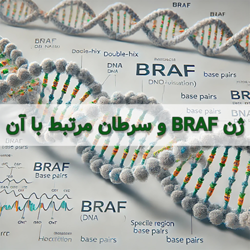 ژن BRAF و جهش و ارتباط آن با سرطان
