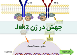 جهش در ژن jak2 - شرکت درمان نگار آیندگان