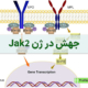 جهش در ژن jak2 - شرکت درمان نگار آیندگان