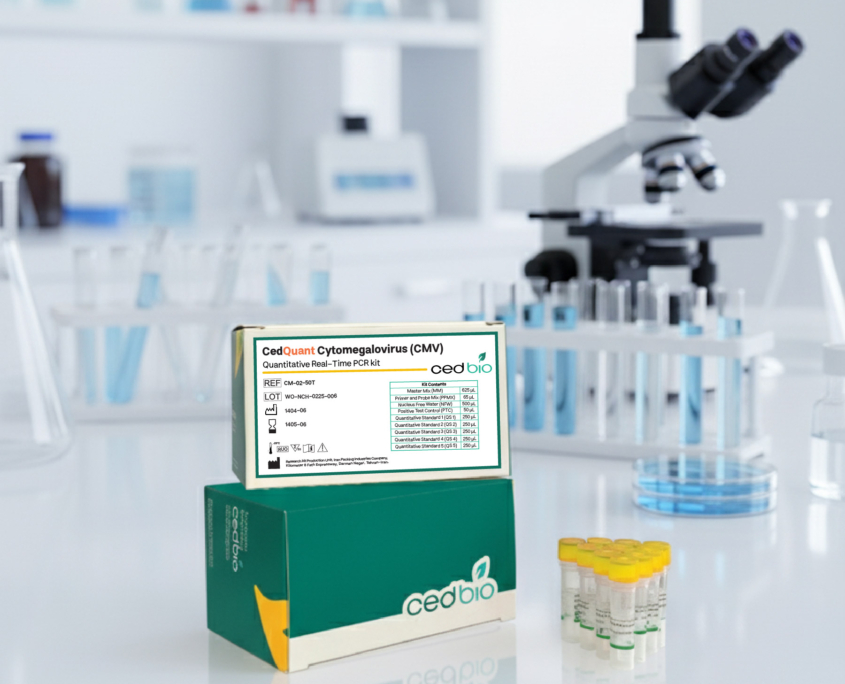 کیت تشخیص کمی CMV - شرکت درمان نگار