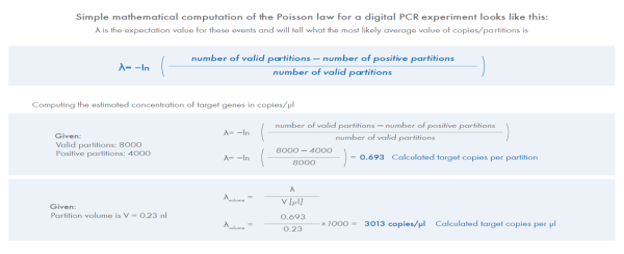 digital PCR