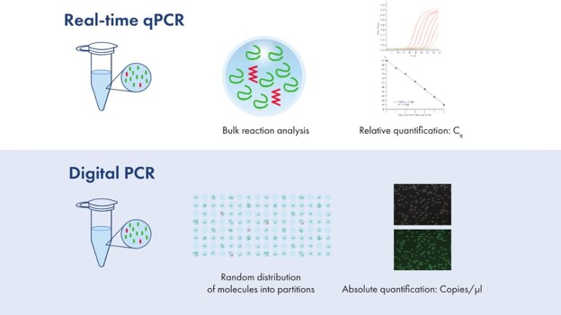 تفاوت dPCR با Real-Time PCR