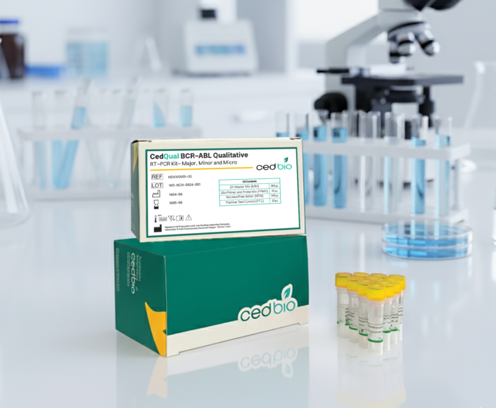 bcr-abl qualitative kit