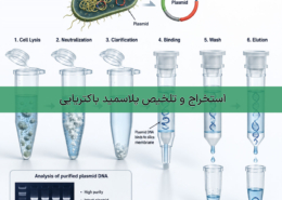 استخراج و تخلیص پلاسمید باکتریایی- شرکت درمان نگار آیندگان