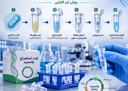استخراج و تخلیص پلاسمید باکتریایی- شرکت درمان نگار آیندگان