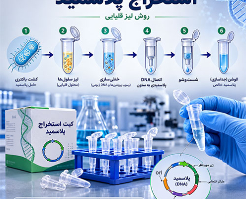 استخراج و تخلیص پلاسمید باکتریایی- شرکت درمان نگار آیندگان