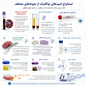 استخراج نوکلئیک اسید از نمونه های مختلف