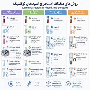 روش های مختلف استخراج نوکلئیک اسید