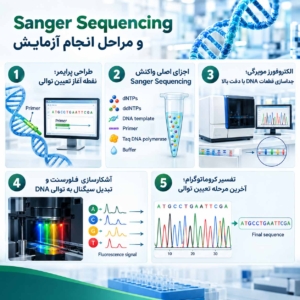 اصول عملکرد Sanger Sequencing
